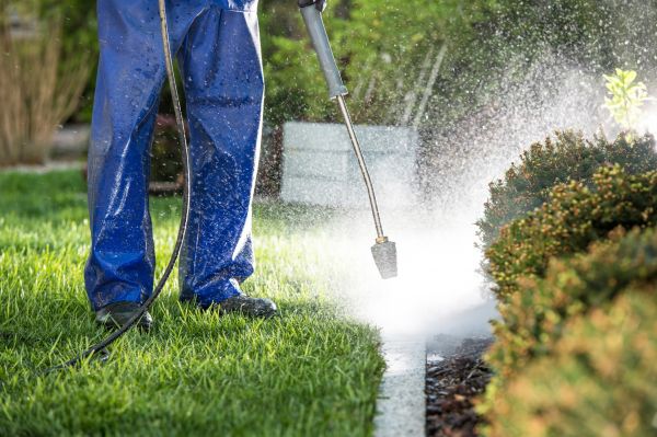 Cost of Curb Cleaning in Oroville