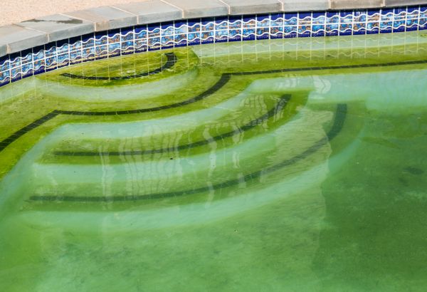 Pool Deck Algae Removal in Oroville