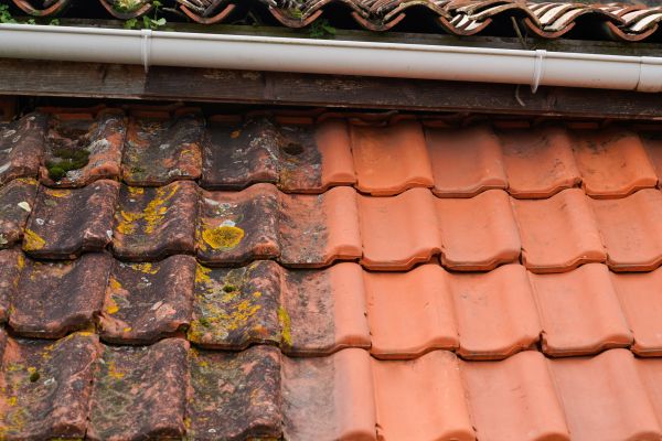 Industrial Roof Cleaning in Oroville