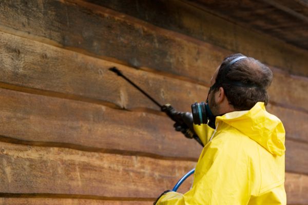 Cedar Siding Washing in Oroville